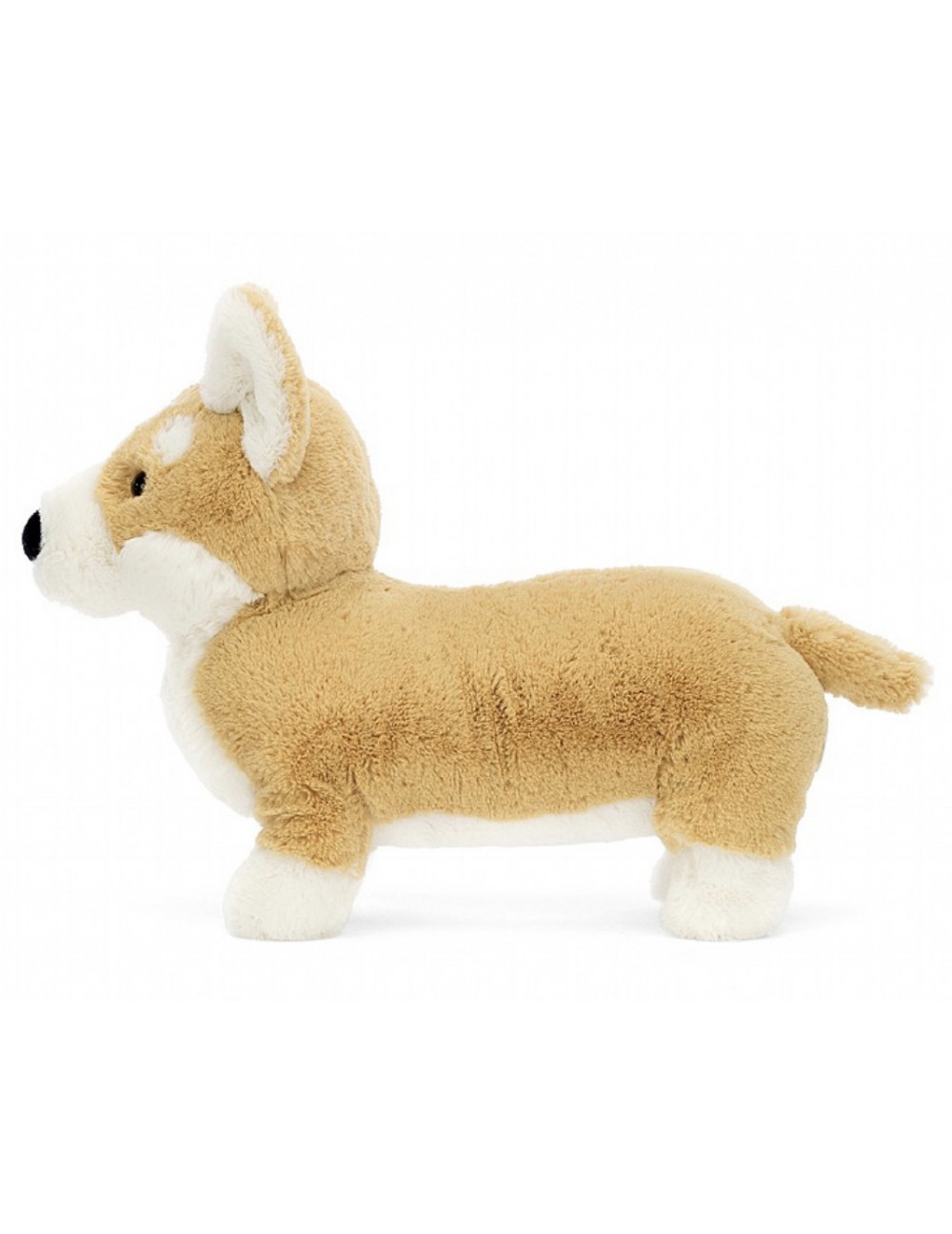 Peluche Betti corgi