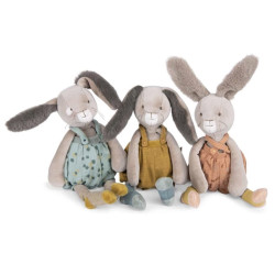 Petit lapin sauge Trois petits lapins