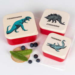 Set de 3 boîtes à goûter prehistoric land