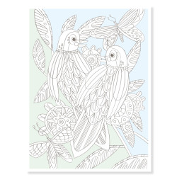 Colouring Gallery Oiseaux