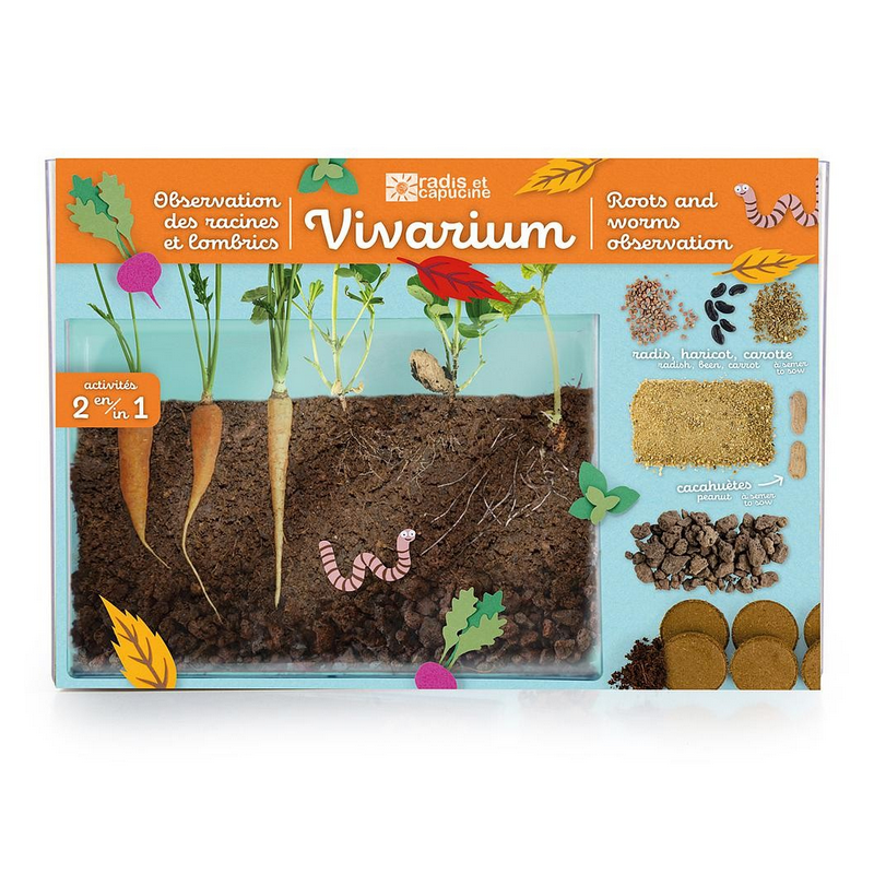 Vivarium Découverte - racines et lombrics