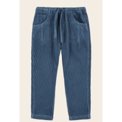 Pantalon velour bleu