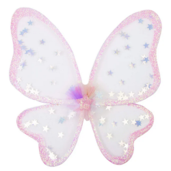 Ailes de fée star glitter wings