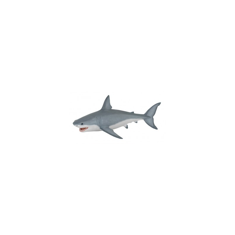 Requin blanc