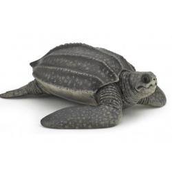 Tortue luth