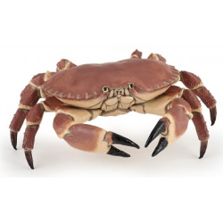 Crabe