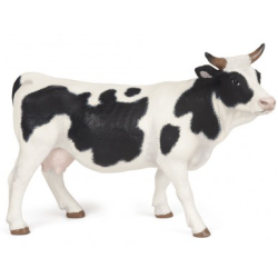 Vache noire et blanche