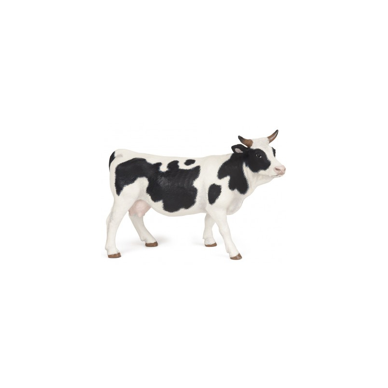 Vache noire et blanche