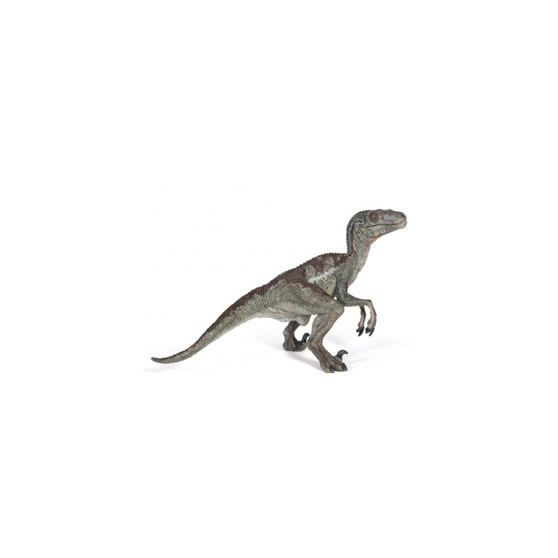 Vélociraptor