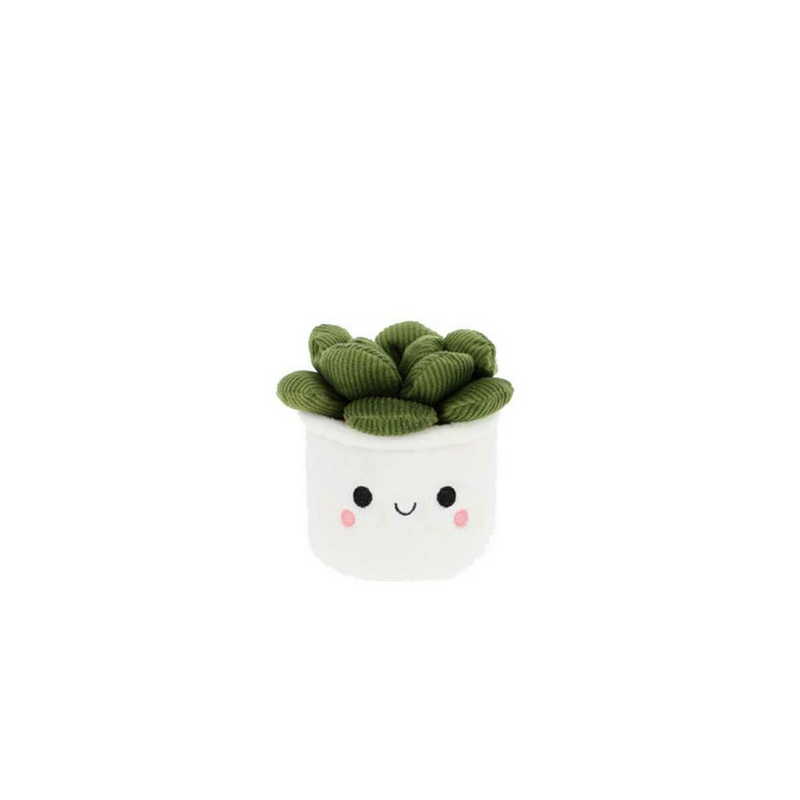 Peluche plante grasse succulente Plant Bobballs