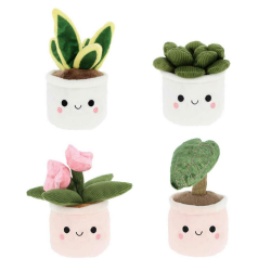 Peluche plante grasse succulente Plant Bobballs