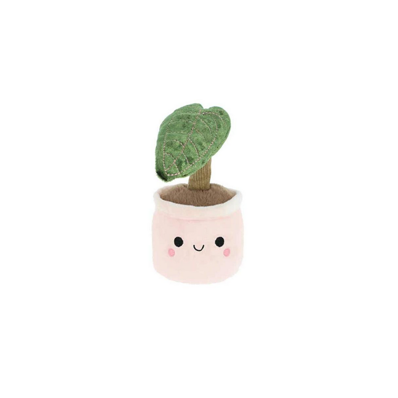 Peluche plante Alocacia Plant Bobballs