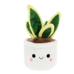 Peluche plante Cactus Plant Bobballs