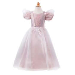 Robe de Princesse Platine