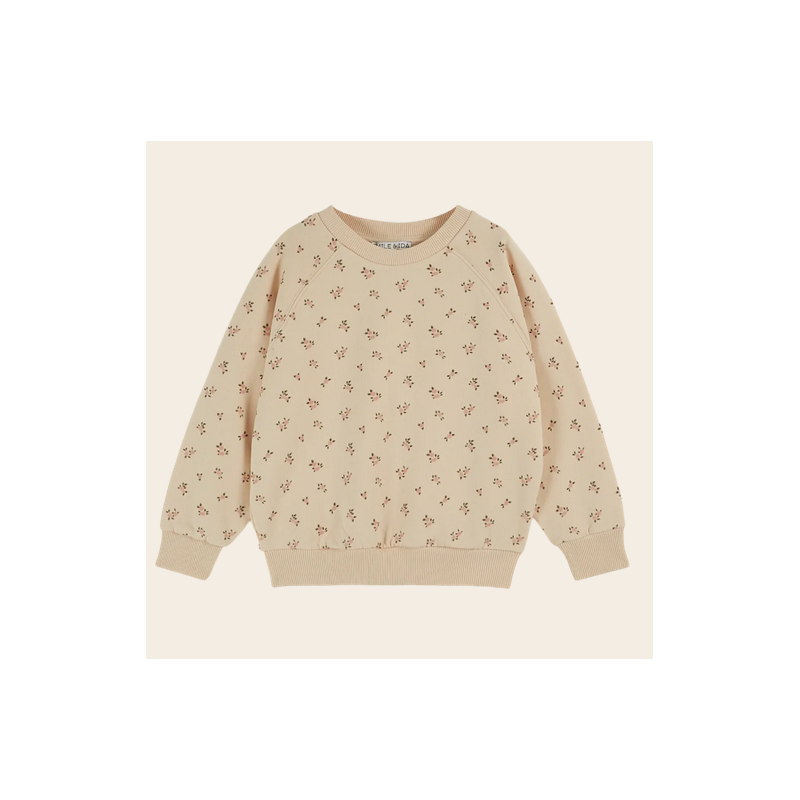 Sweat shirt imprimé roses