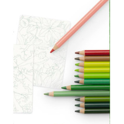 12 crayons de couleur et cartes Nature