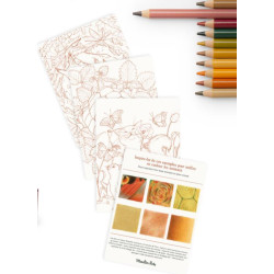 12 crayons de couleur et cartes Animaux