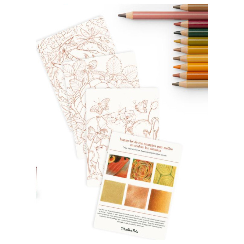 12 crayons de couleur et cartes Animaux