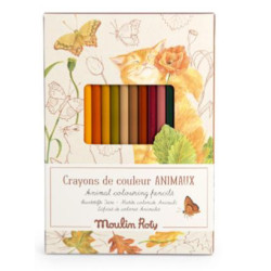 12 crayons de couleur et cartes Animaux