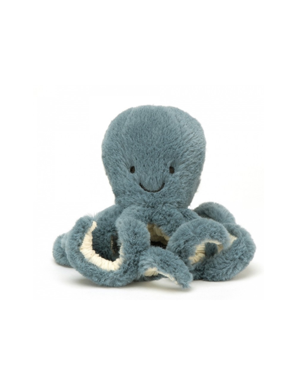 Pieuvre Storm octopus baby