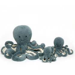 Pieuvre Storm octopus baby