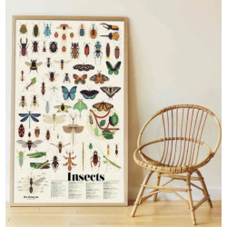 Poster en stickers insectes - Poppik