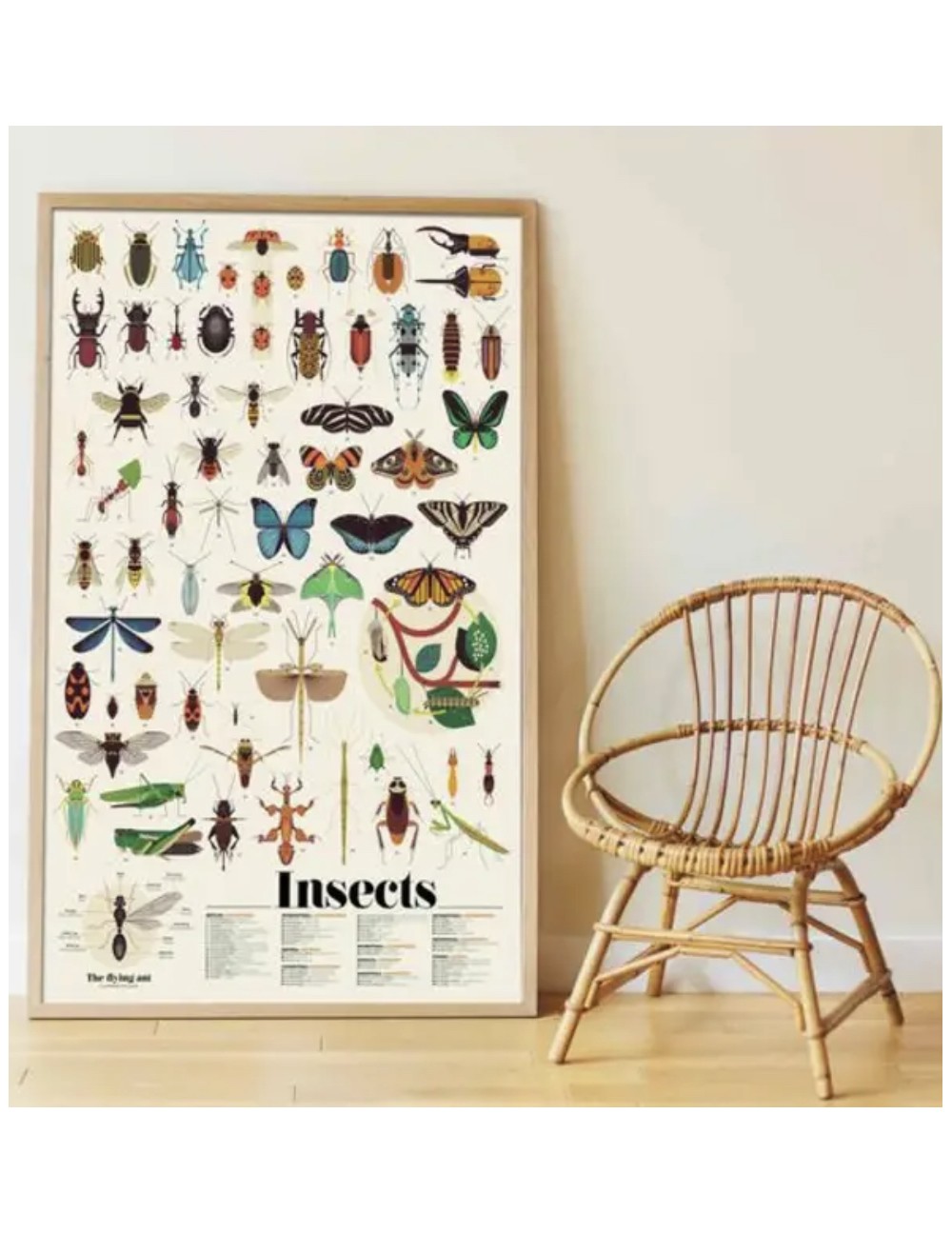 Poster en stickers insectes - Poppik